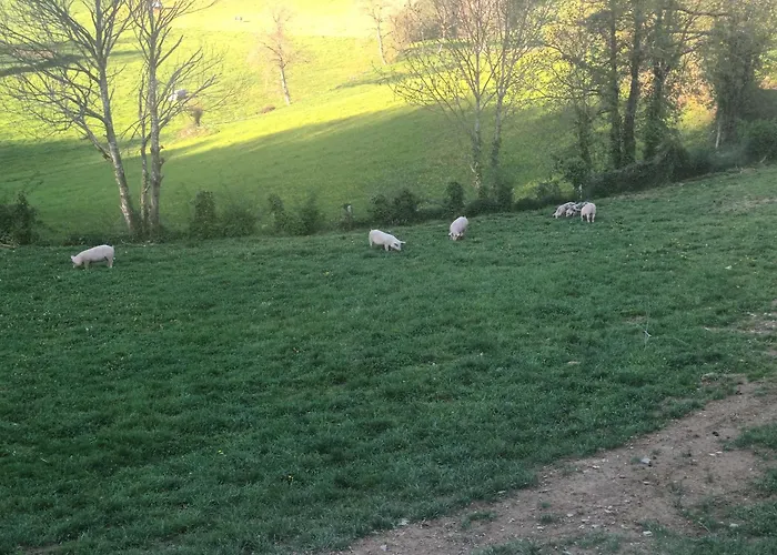 度假居 Casas Eladio-doncos